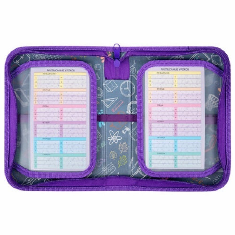 Пенал 1 отделение 210*140 Пифагор Falling cat, 2 откидные планки, ткань