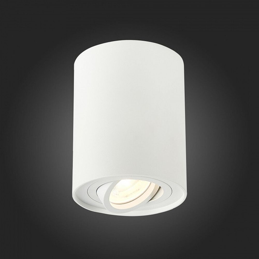 Спот ST-Luce Torus ST108.517.01