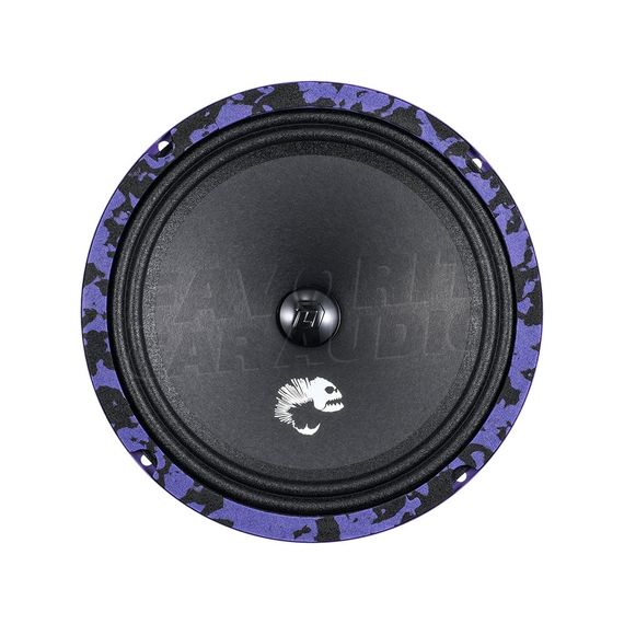 DL Audio Piranha 200
