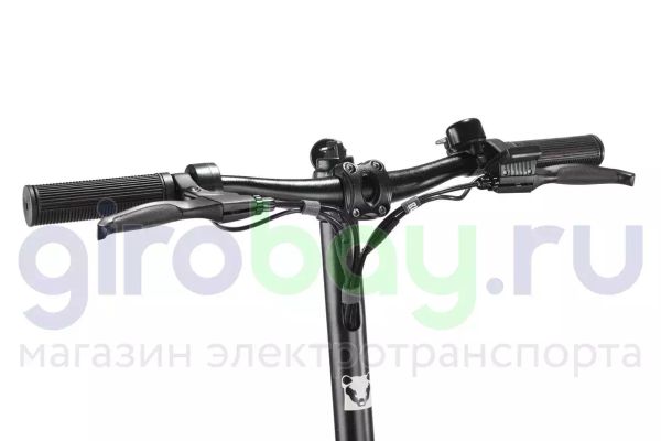 Электросамокат WS TAIGA (Silver Winter)