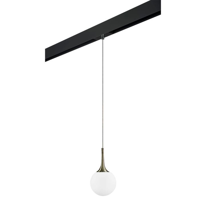 Комплект с трековым светильником Lightstar Globo (813011+595007) PRO813011