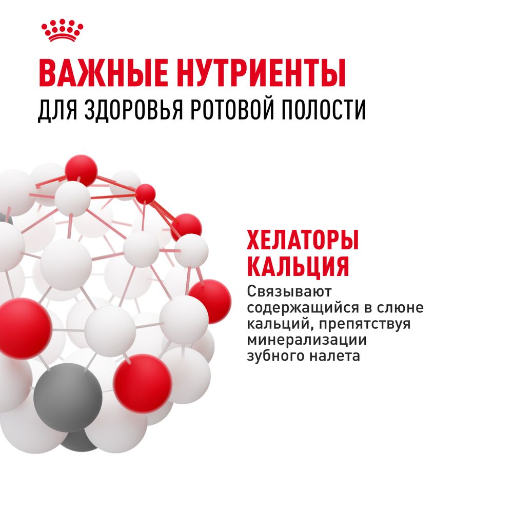 Сухой корм Royal Canin Mini Dental Care для собак мелких размеров, предрасположенных к образованию зубного камня