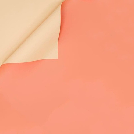 Пленка 2-х ст 58*10м КОРАЛЛ/МЁД