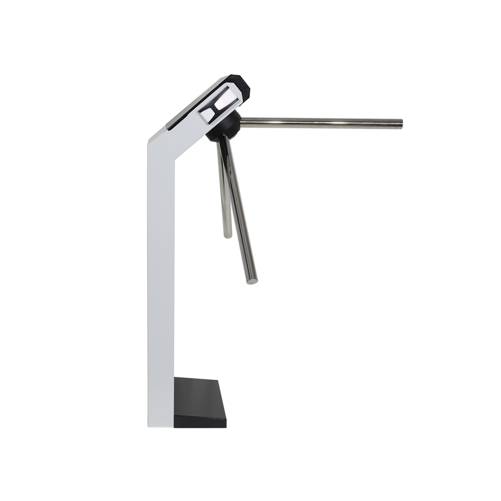 Model L SIGUR (EM) УХЛ 2.1 турникет 3V