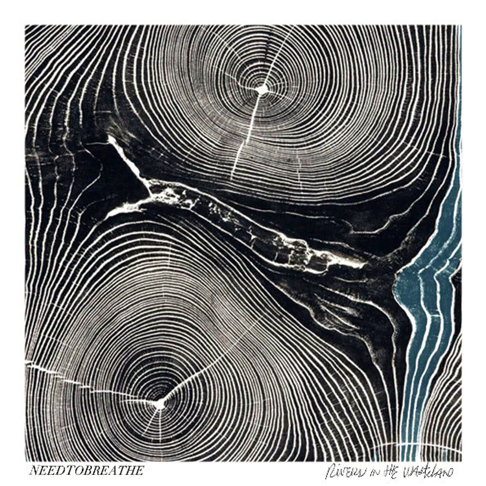 Needtobreathe / Rivers In The Wasteland (CD)