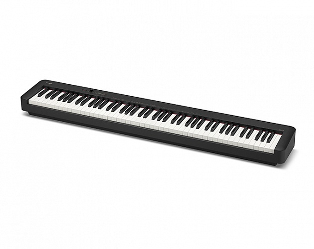 Casio CDP-S110
