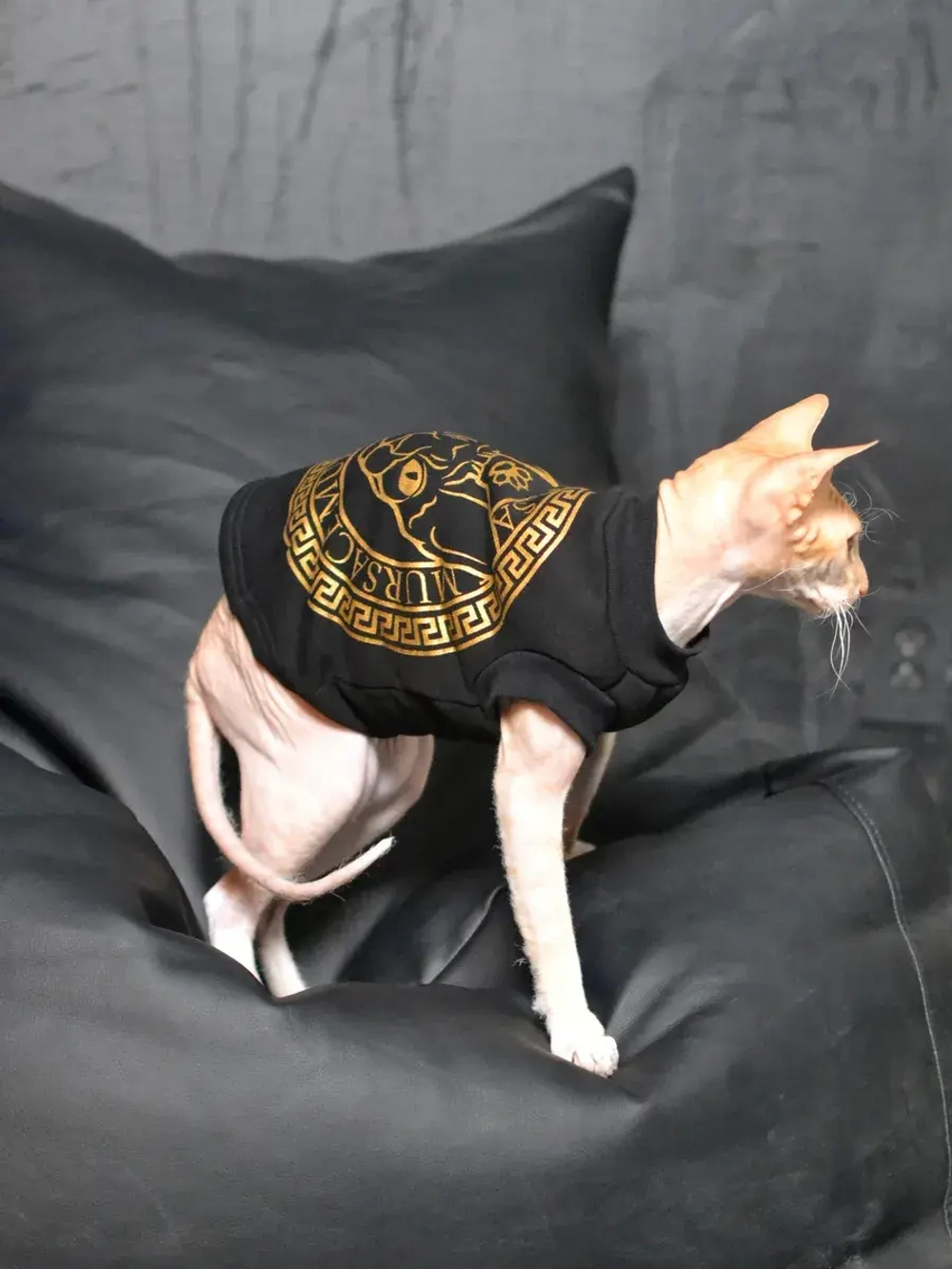 Одежда для кошек сфинкс