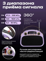 Радиоприемник аккумуляторный RITMIX RPR-040 LAVENDER Bluetooth USB MP3
