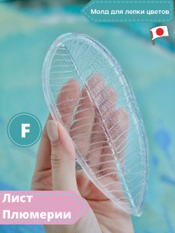 Молд F для лепки /пластиковая форма Лист Плюмерии Франжипани CLAYCRAFT BY DECO