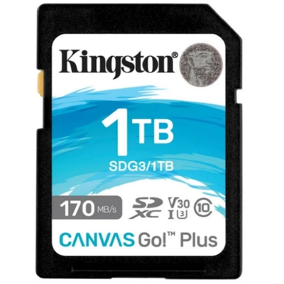Карта памяти SecureDigital 1TB Kingston SDG3 / 1TB Canvas Go! Plus w / o adapter