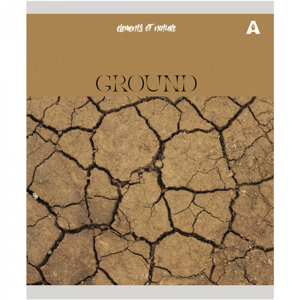 Тетрадь 96л., А5, клетка, Alingar "Elements of nature", скрепка, мелованный картон (стандарт), блок офсет, 5 дизайнов в пленке т/у