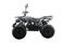 Квадроцикл MOTAX ATV Grizlik Premium 125cc