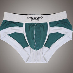 Мужские трусы брифы Asitoo Silveredge Brief Green