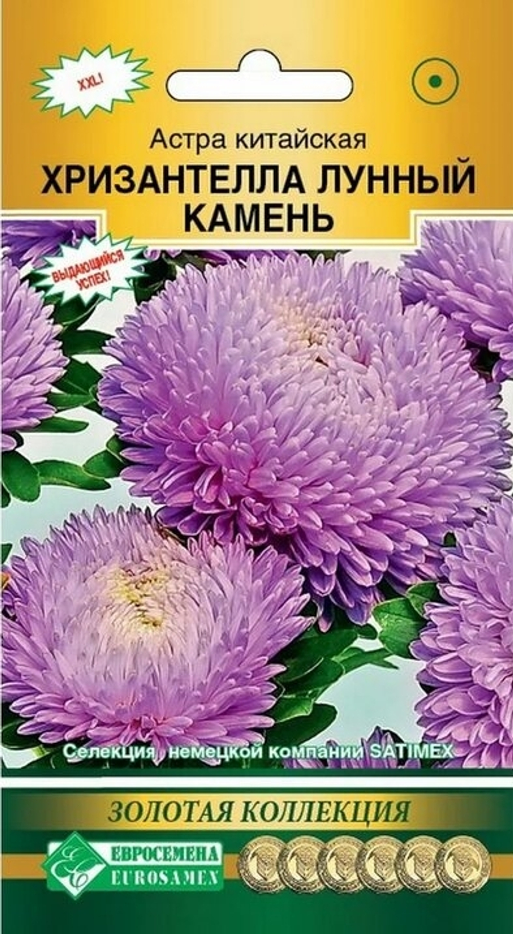Астра Хризантелла Лунный камень