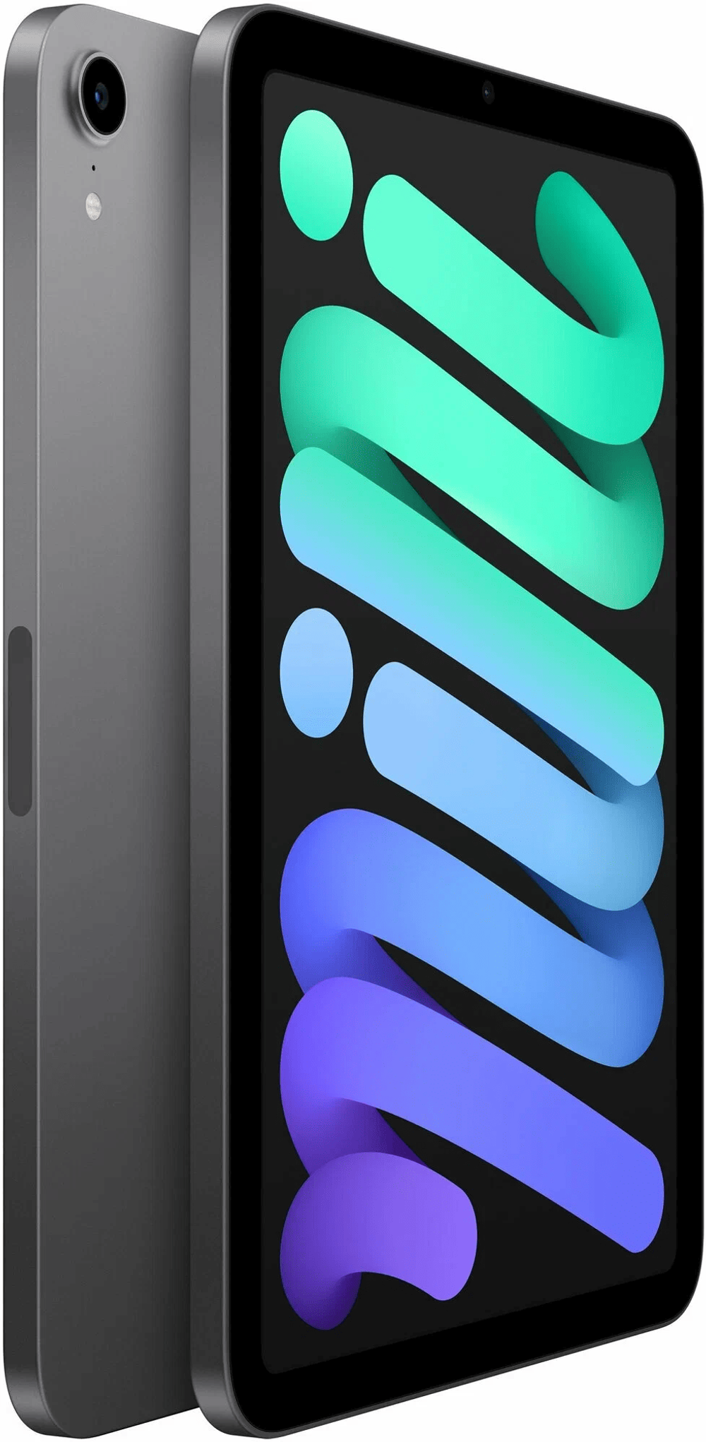 8.3" Планшет Apple iPad mini 2021, 256 ГБ, Wi-Fi, iPadOS, серый космос