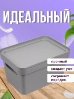 Коробка для хранения вещей Фортуна270х190х150мм Сер