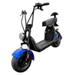 Электроскутер CityCoco Wolong X11 Trike