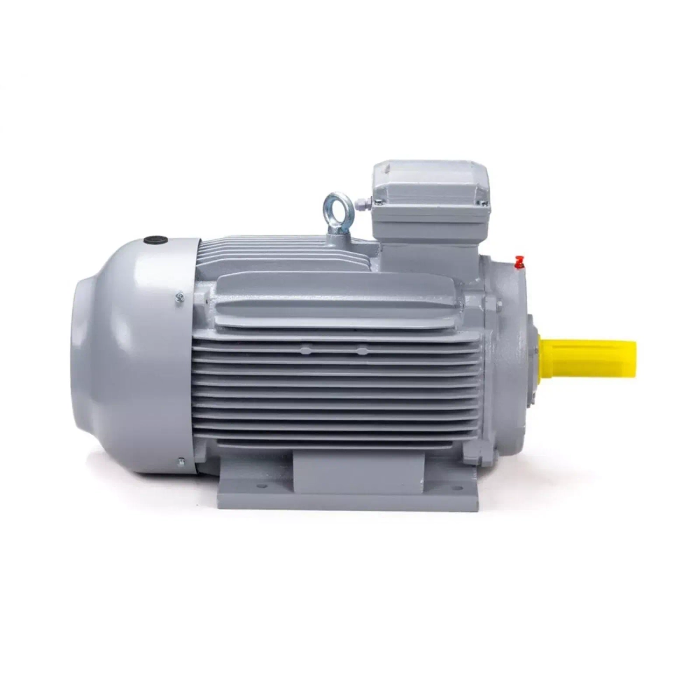 Электродвигатель ESQ PR 160 M6 GST-Б1-S12-IE2 15/1000 IM2001