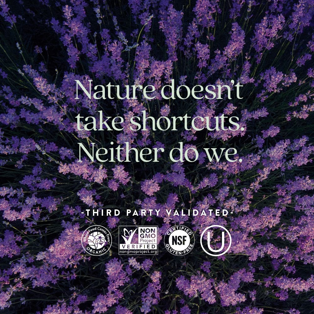 New Chapter, Perfect Postnatal, мультивитамины, 96 вегетарианских таблеток