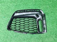 Решетка перед. бампера BMW 7er G11 (19-22) M-paket