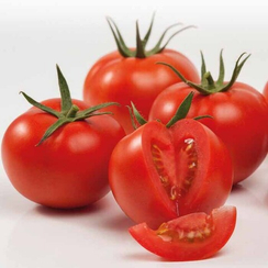 СЕЙРАН F1 семена томата (Nunhems | Alexagro)