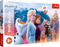 Puzzle &quot;24 Maxi&quot; - Magical journey / Disney Frozen 2