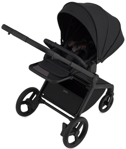 Детская коляска Anex Flo 2 в 1 Lungo