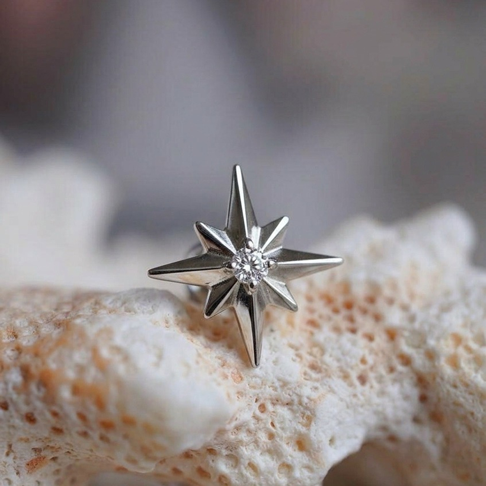 POLAR STAR