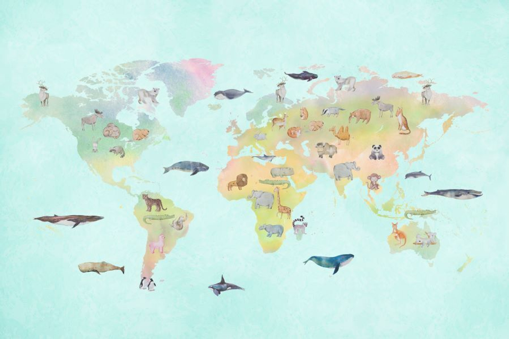 Фреска Applico, коллекция Dreams