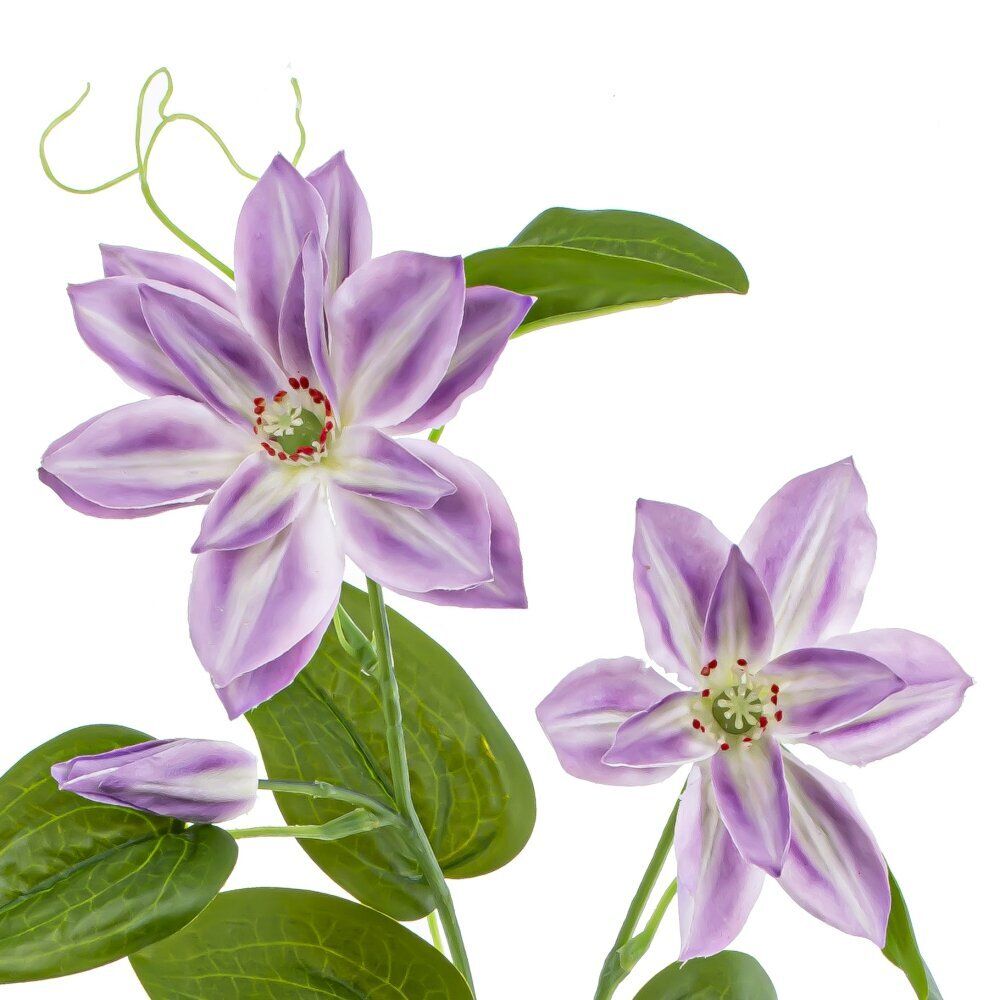 GAEM Цветок искусственный "Клематис", L17 W13 H65 см