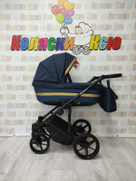 Коляска модульная Adamex Rimini RI95-TIP