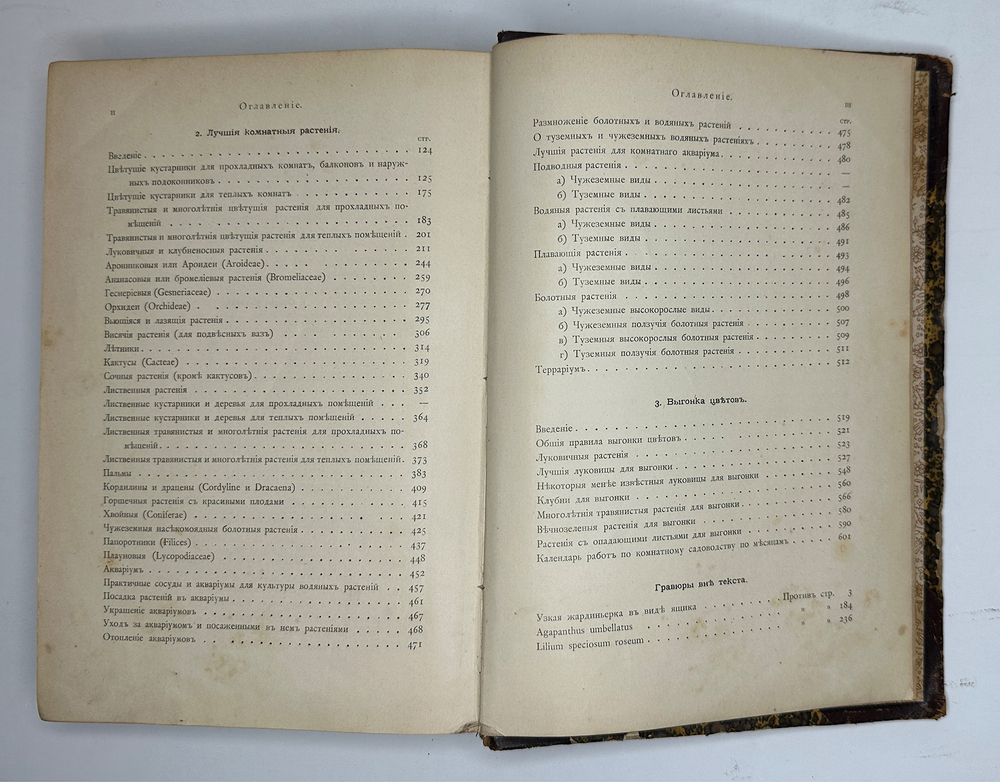 Гесдерфер М. Комнатное садоводство. СПб. Изд. Девриена, 1898г.