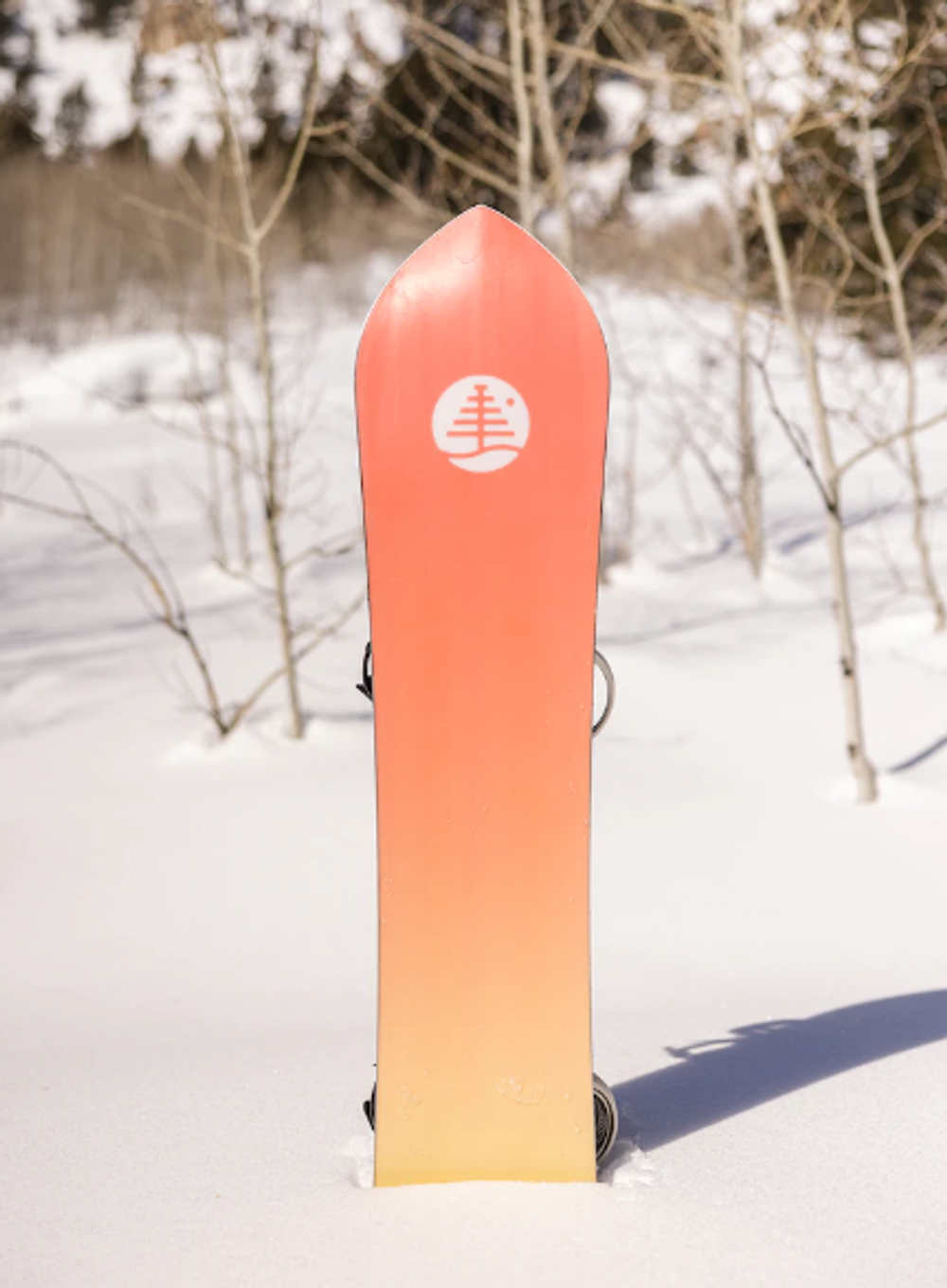 Сноуборд BURTON FT 3D DOUBLE DOG