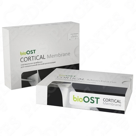 CORTICAL Membrane