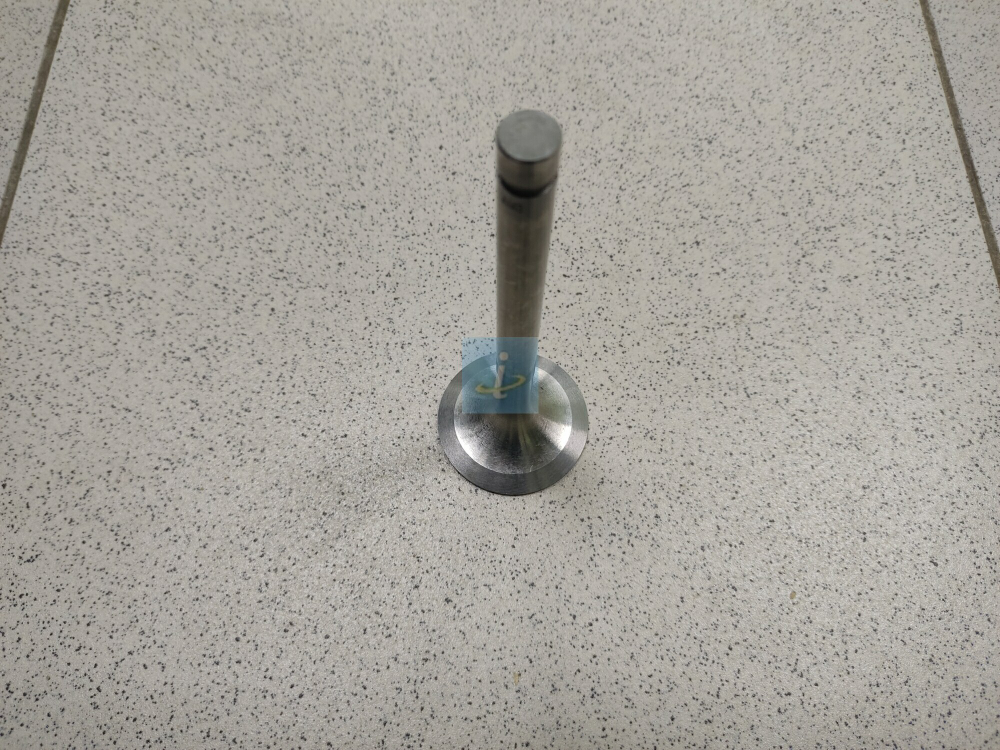 Клапан впускной 7511.1007010