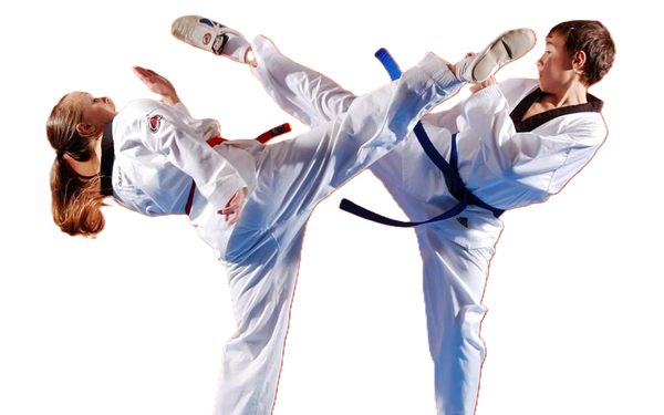 Техника тхэквондо. Общие сведения.