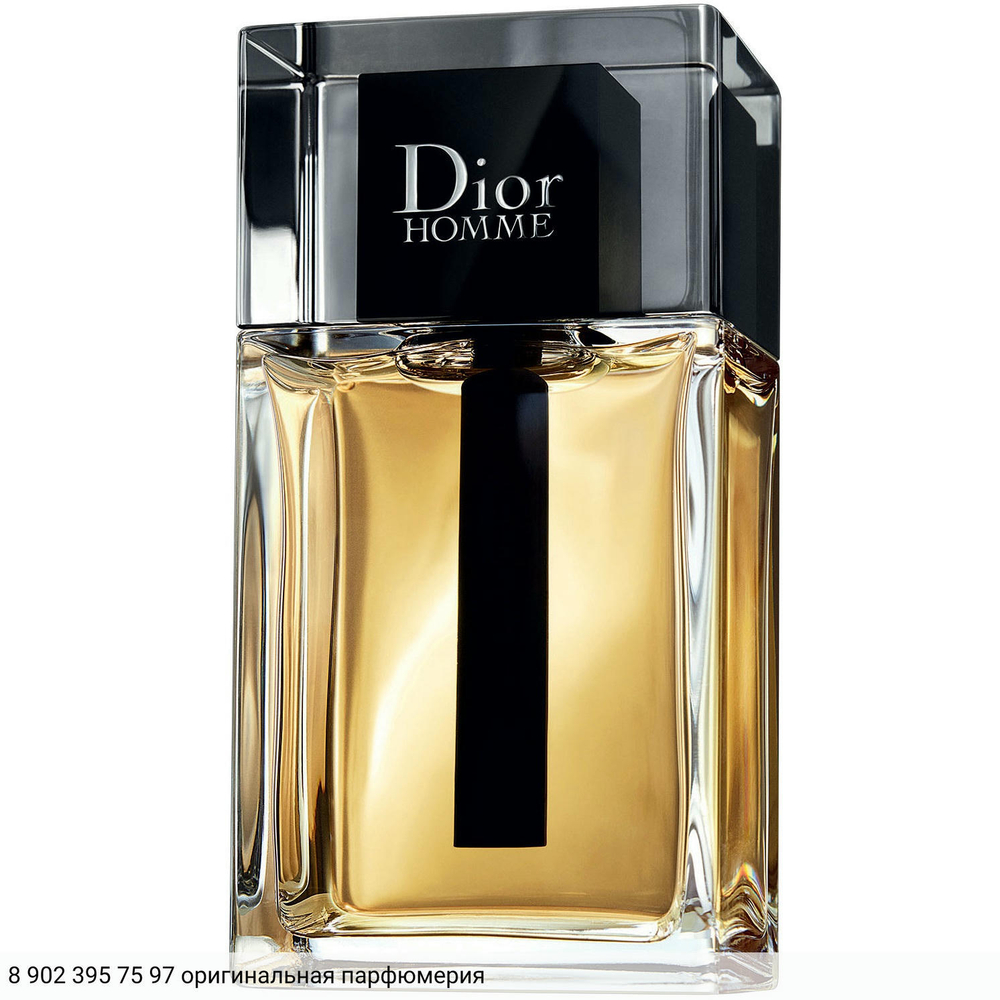 Dior Homme (2020)
