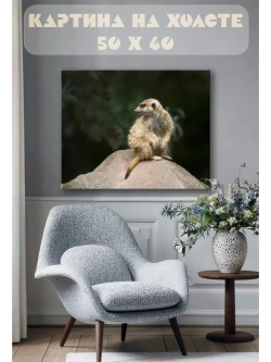 Картина на стену 40 X 50 Сурикат