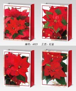 GAEM Пакет подарочный (бумага 210г/м2, блок 12шт), L26 W10 H32 см, 4в.