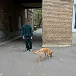 Купить Рубашка Смерч на молнии #5 изумрудная Рубашка Смерч на молнии #5 изумрудная