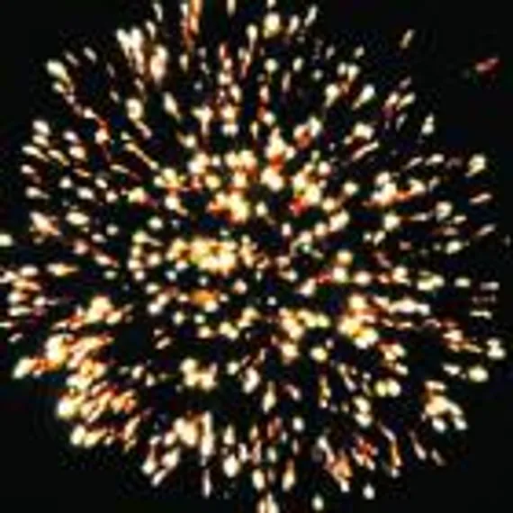 Гепард (0,8 х 5) Р5512