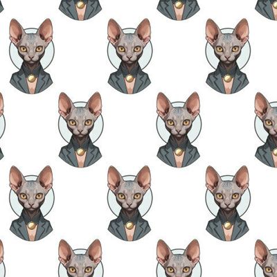 Стильный кот породы сфинкс