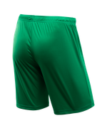 Шорты игровые CAMP Classic Shorts, зеленый/белый, детский