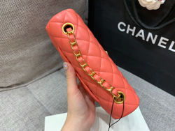 Chanel Bag 20 cm
