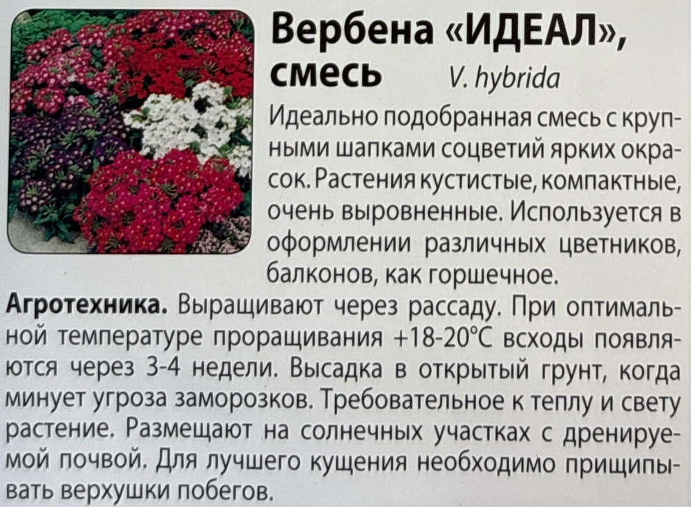 Вербена Идеал смесь 0,2 г СМЦ-366