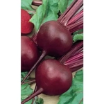 Семена Свекла Мулатка 2гр (УД) Е/П