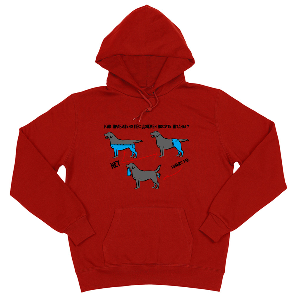 Толстовка "Как правильно носить штаны"