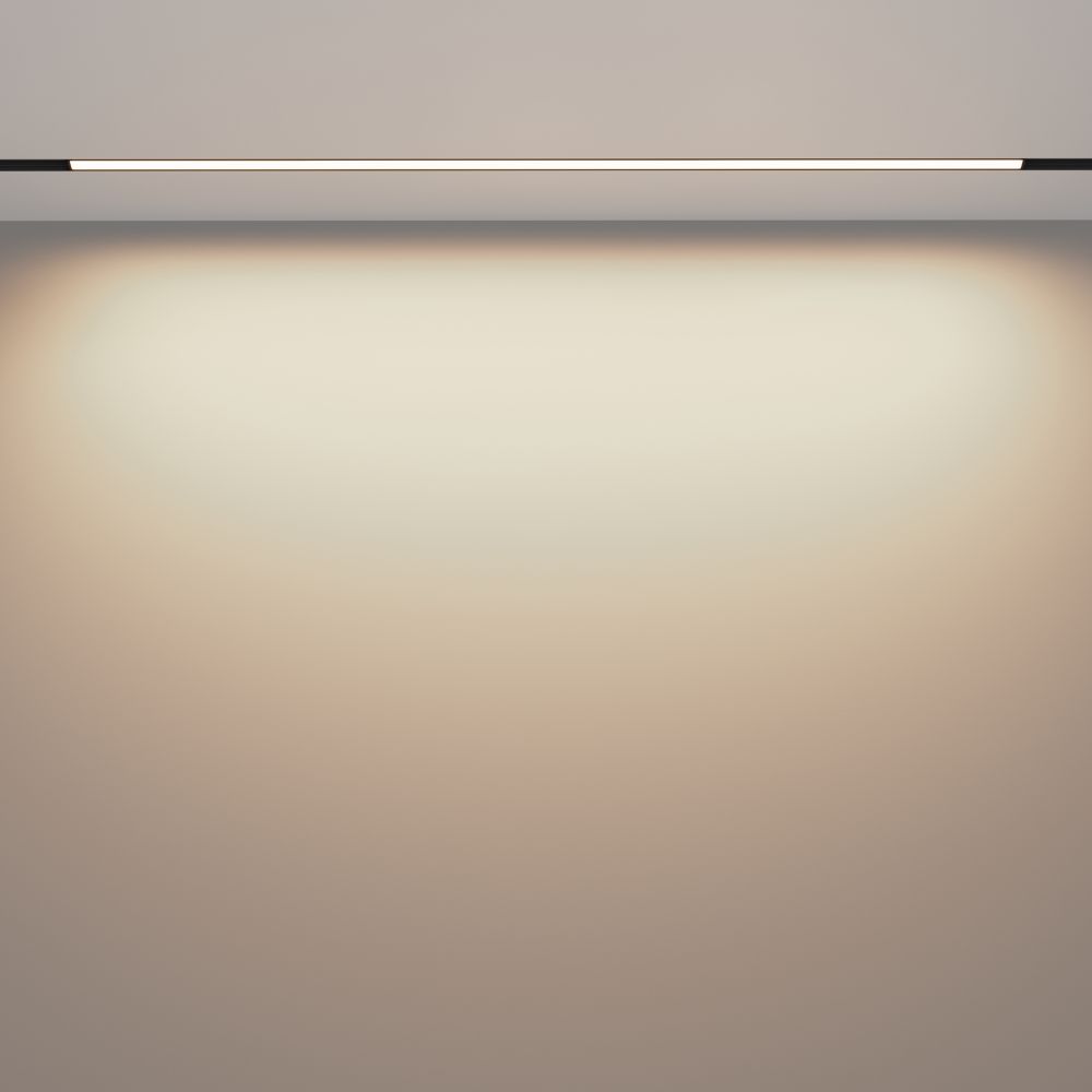 Трековый магнитный светильник Maytoni Exility Basis TR030-2-30W3K-B