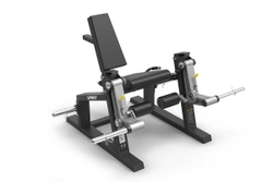 Разгибание ног Spirit SP-4511