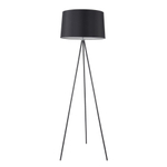 Напольный светильник (торшер) Freya FR5152-FL-01-B